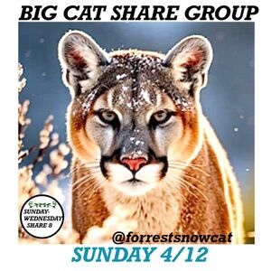 BIG CAT SHARE GROUP  SUNDAY 4/12 SIGN UP